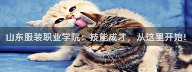开丰娱乐更多平台