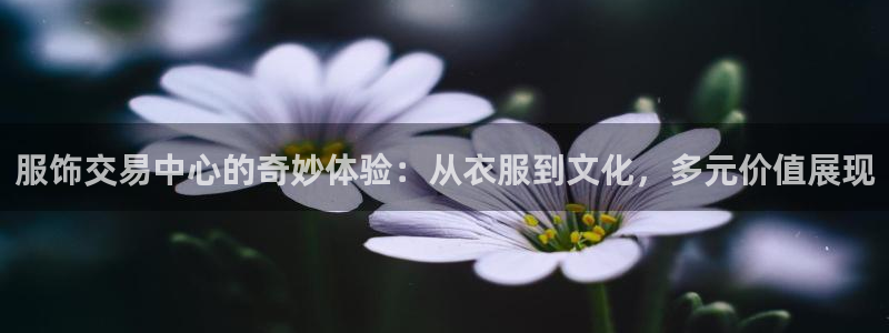 开丰娱乐测速