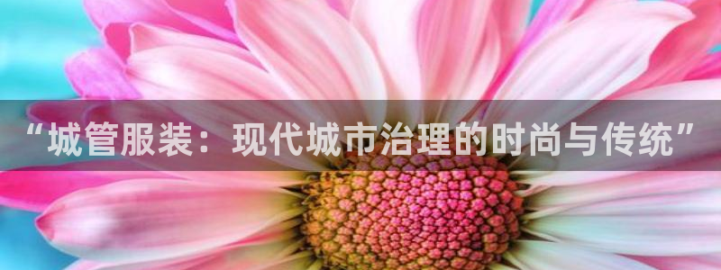 开丰娱乐官网平台网址