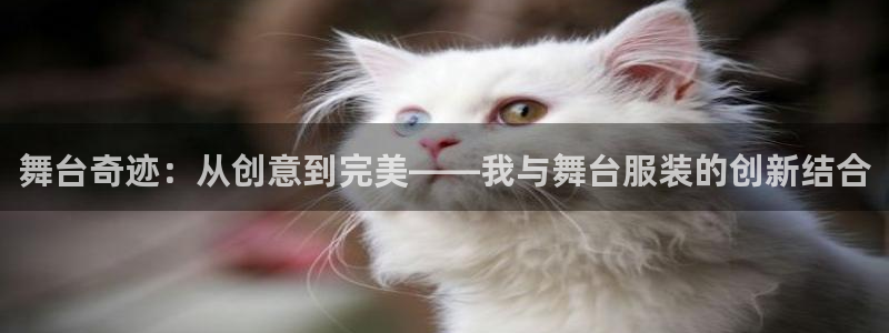 开丰娱乐 赢咖一