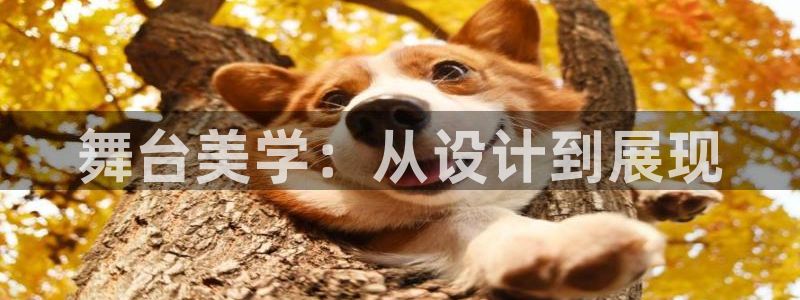 开丰娱乐