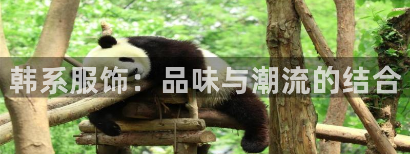 开丰娱乐巾67五壹叁八