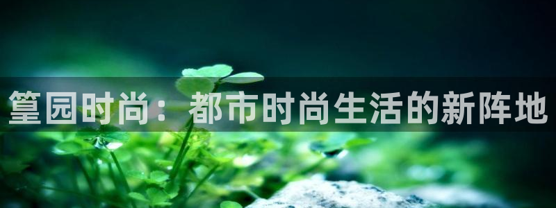 开丰娱乐日7O667