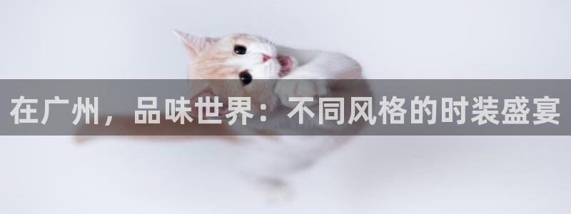 开丰娱乐前