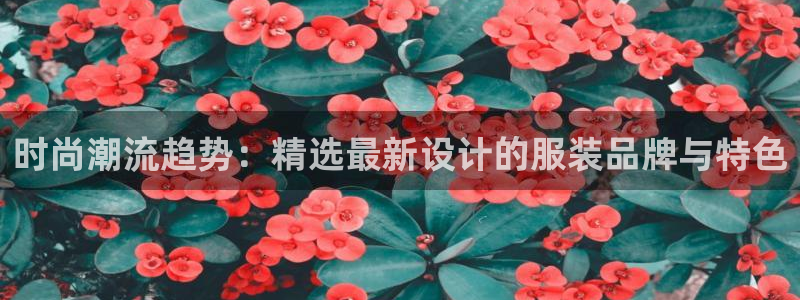 开丰娱乐右7O667