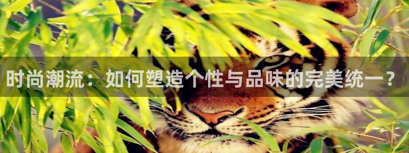 开丰娱乐开户