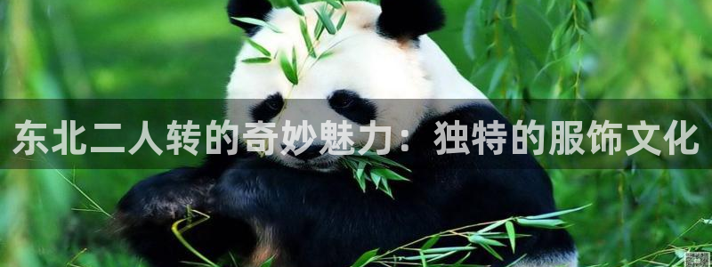 开丰娱乐手机app