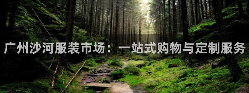 开丰娱乐测速