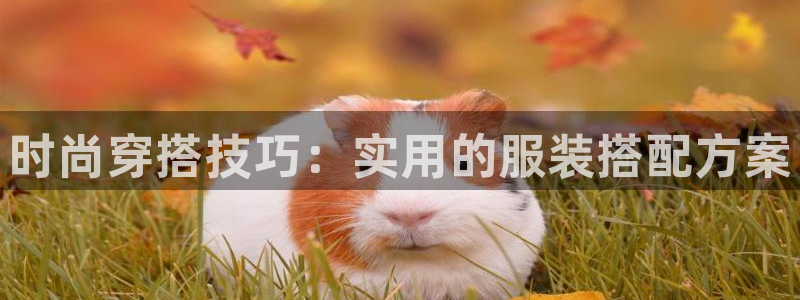 开丰娱乐平台提现失败
