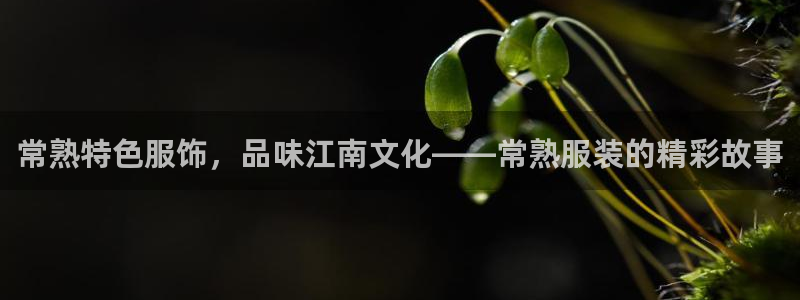 开丰娱乐与六七五一38