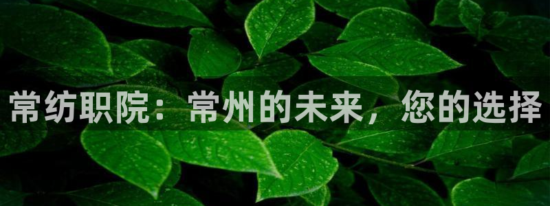 开丰娱乐寸67五壹叁八