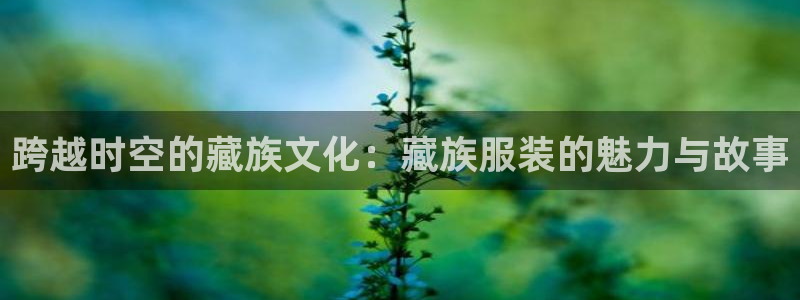开丰娱乐平台提现失败