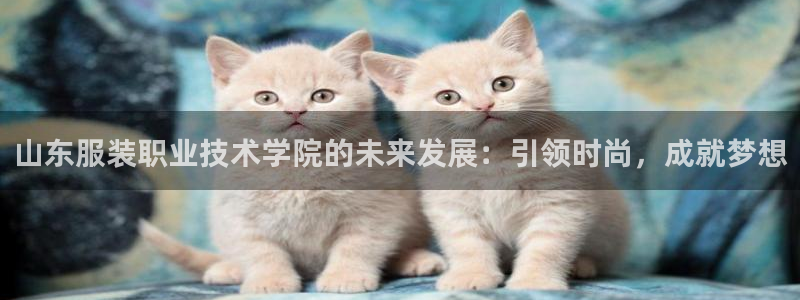 开丰娱乐手机app