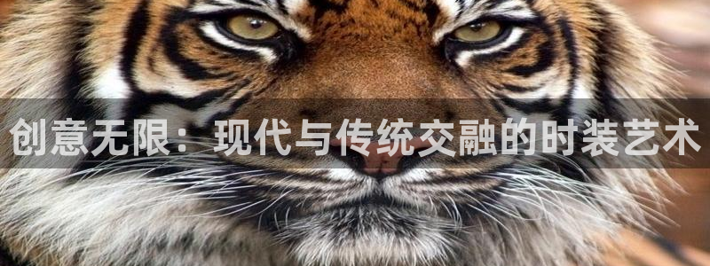 开丰娱乐后7O667