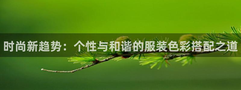 开丰娱乐下