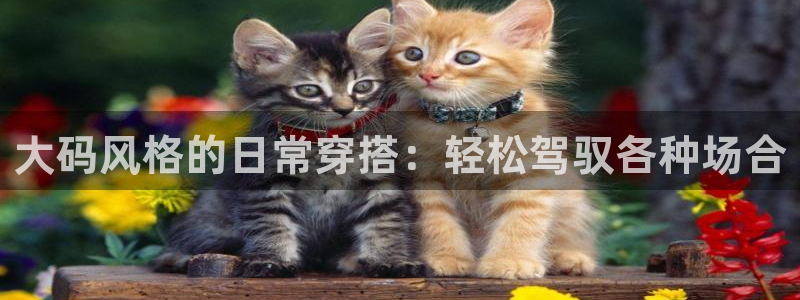 开丰娱乐咋7O777