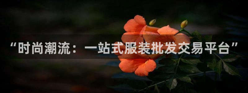 开丰娱乐网站官网下载