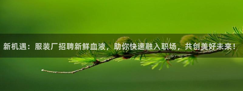 开丰娱乐乙833_43